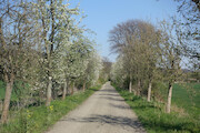 Harzer Klosterwanderweg